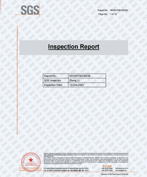 NPC ELECTRIC Products SGS INSPECTION REPORT