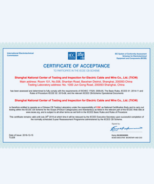 NPC ELECTRIC Products Certificate Of Acceptance