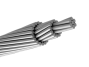 Bare Conductor's All Aluminum Conductors（AAC）