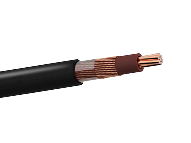 CONCENTRIC CABLE2