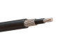 CONCENTRIC CABLE4