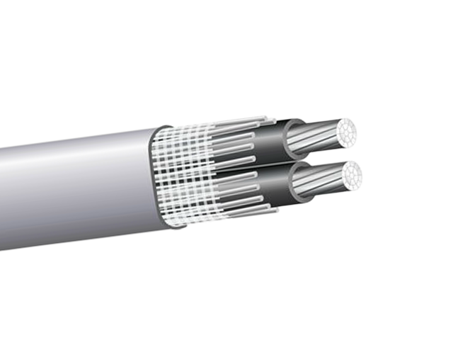 CONCENTRIC CABLE5