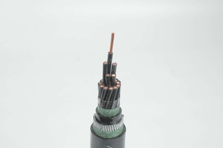 Control Cable 0.6/1 kV CVV to IEC 60502 Standard image1