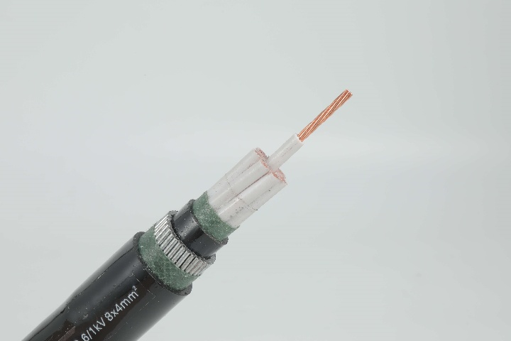 Control Cable 0.6/1 kV CVV to IEC 60502 Standard image2