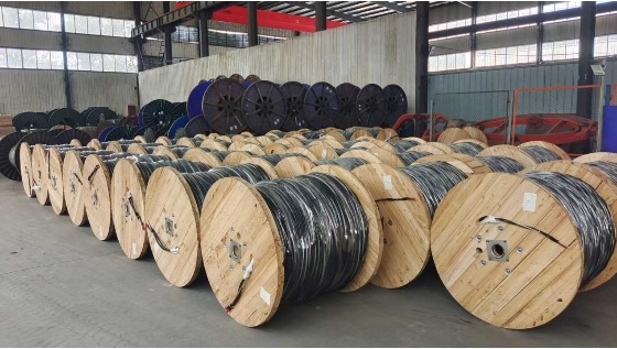 AAAC Conductor and Triplex Cables for Edenorte Project in the Dominican Republic