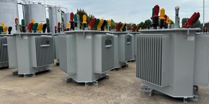 22kv Oil-immersed Transformers for Chile