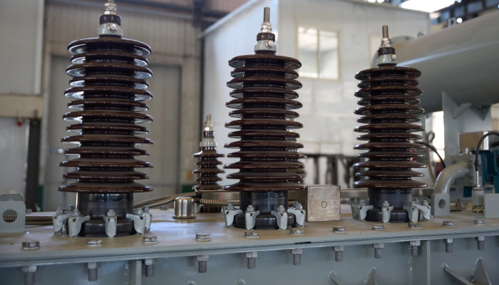 NPC Oil-immersed Transformer Structure