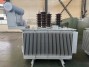 33kV 600A Neutral Zig-zag Grounding Reactor Transformer4