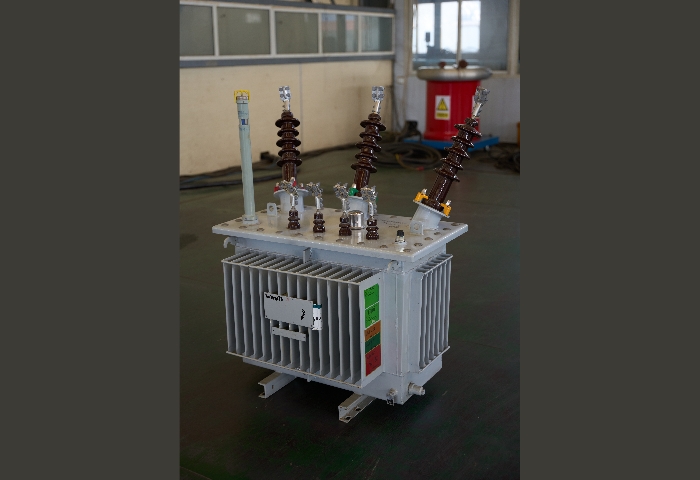 200kVA Oil Immersed Transformer4